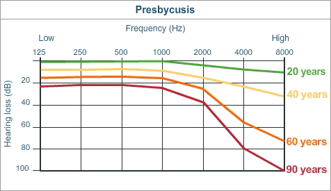 Presbycusis | Cochlea